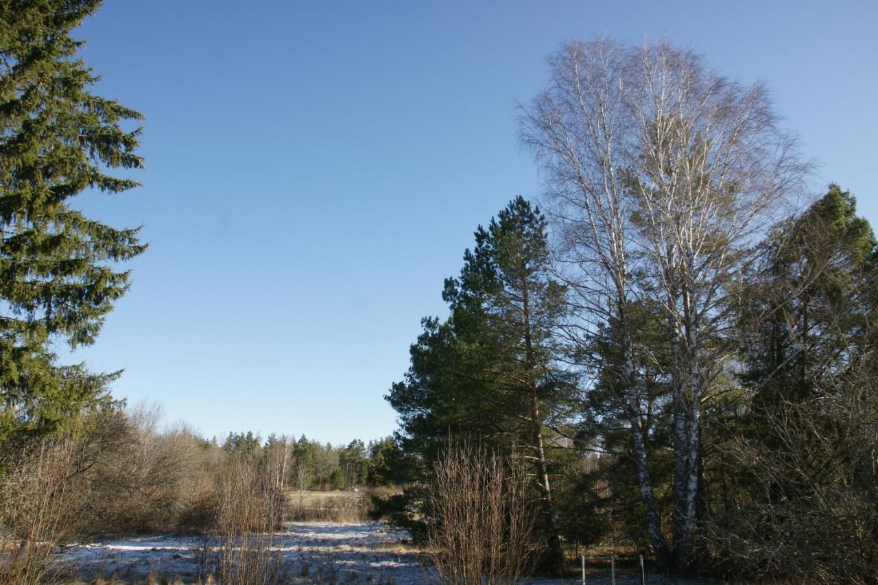 Bjoerkholm - Villa In Målilla Eksteriør billede