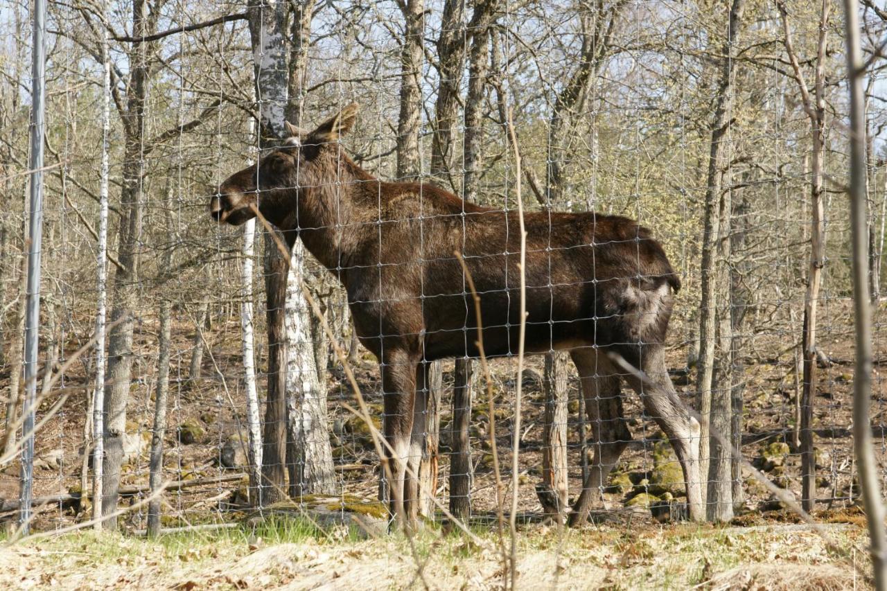 Bjoerkholm - Villa In Målilla Eksteriør billede